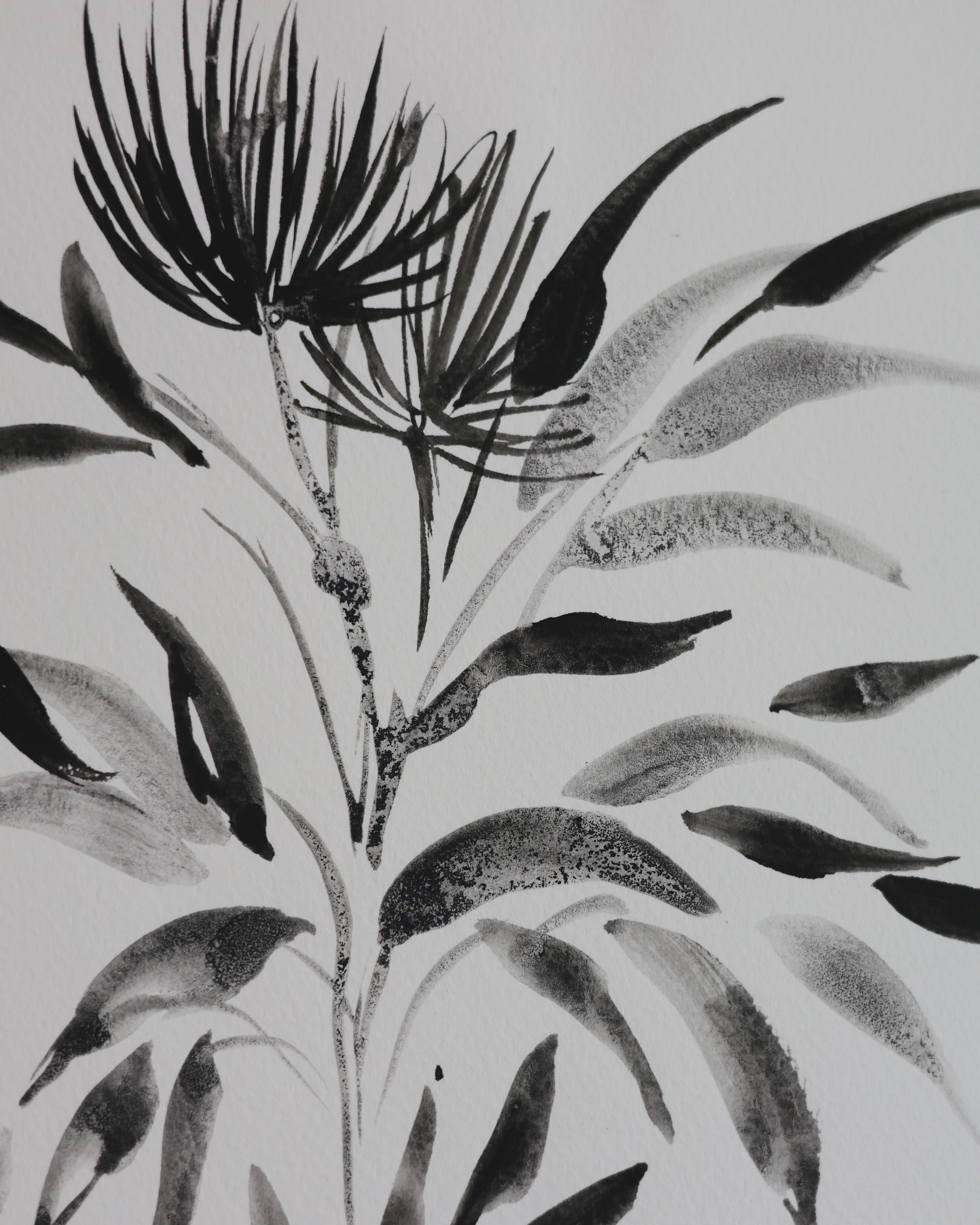 Black Botanical