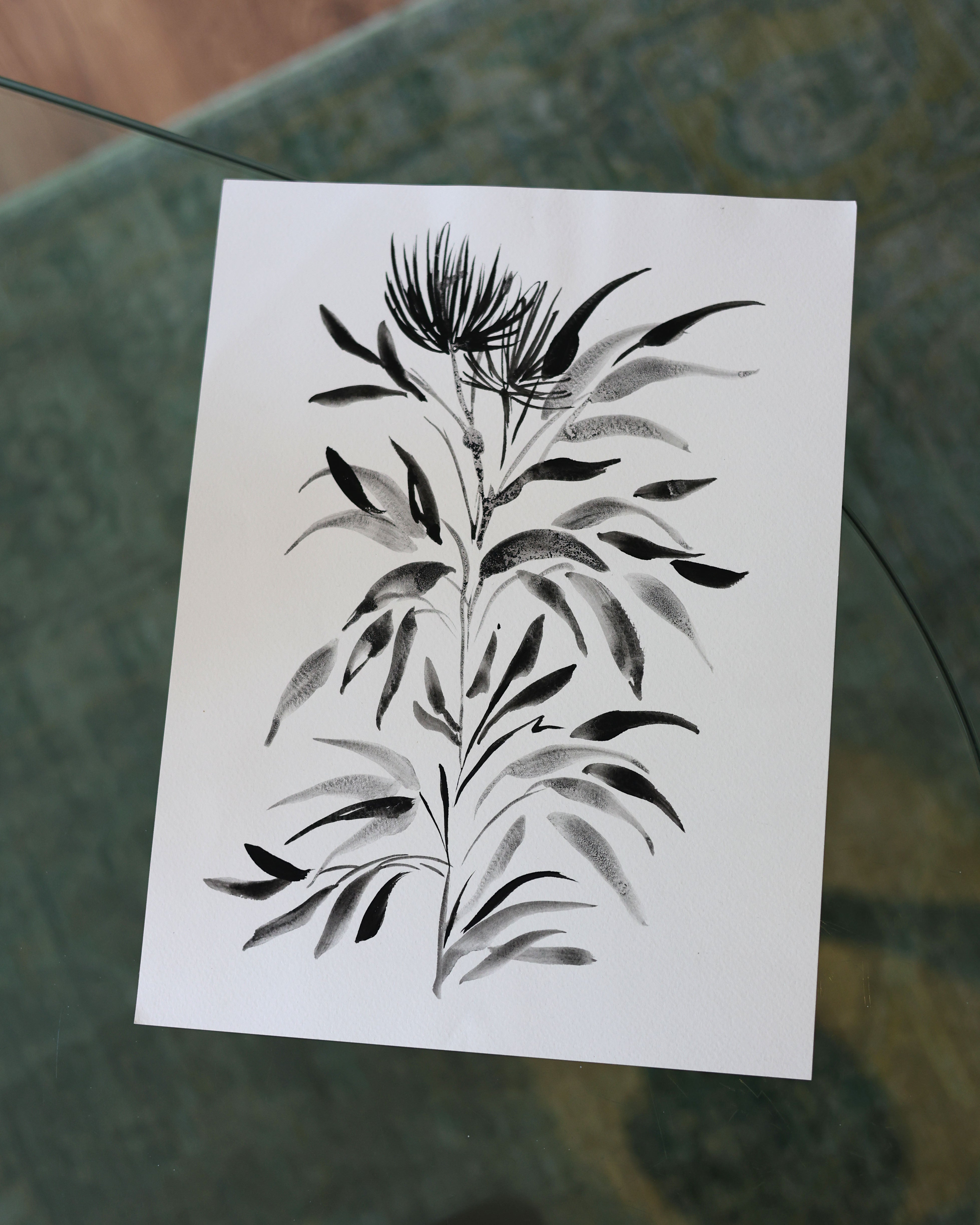 Black Botanical