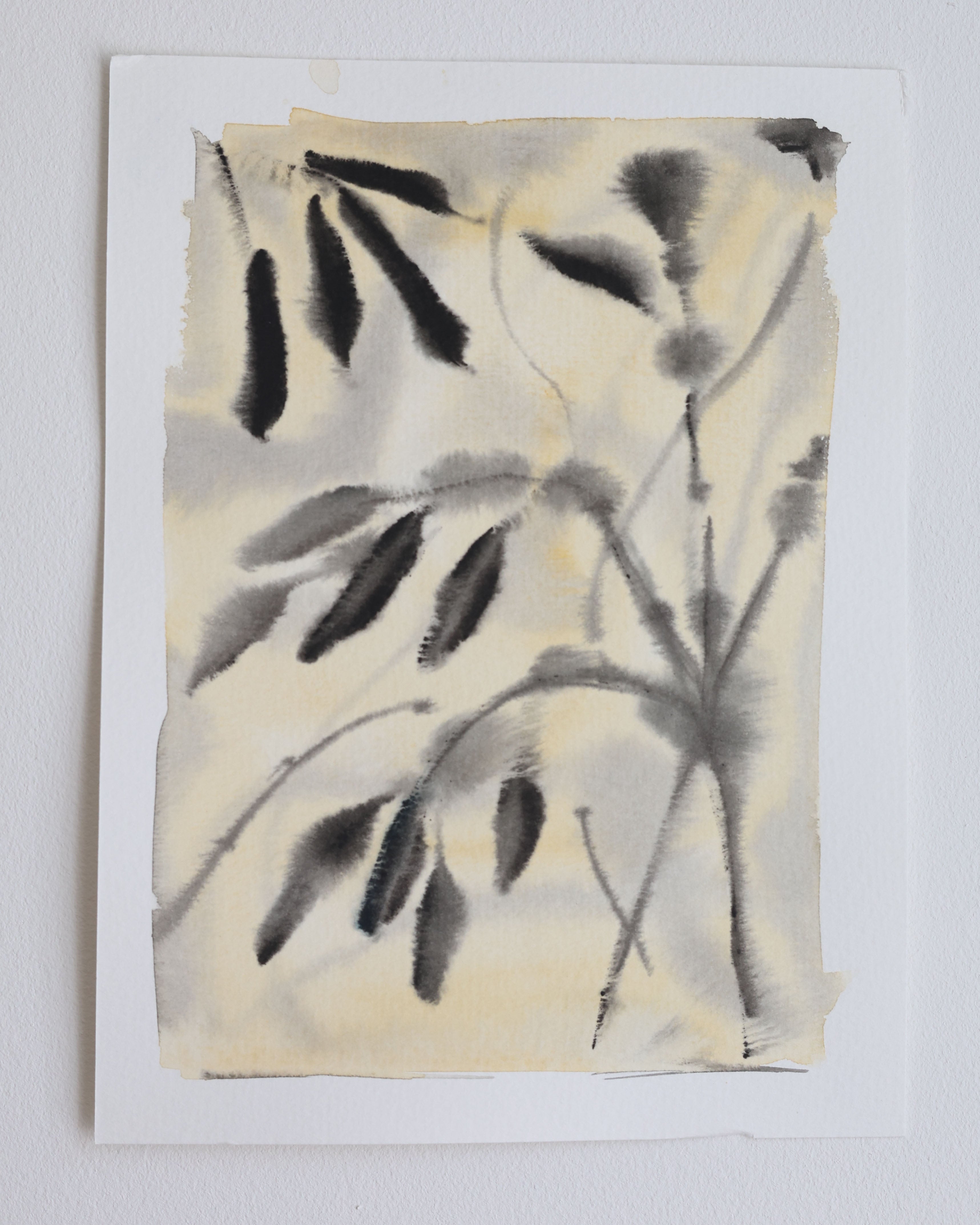 Leaves