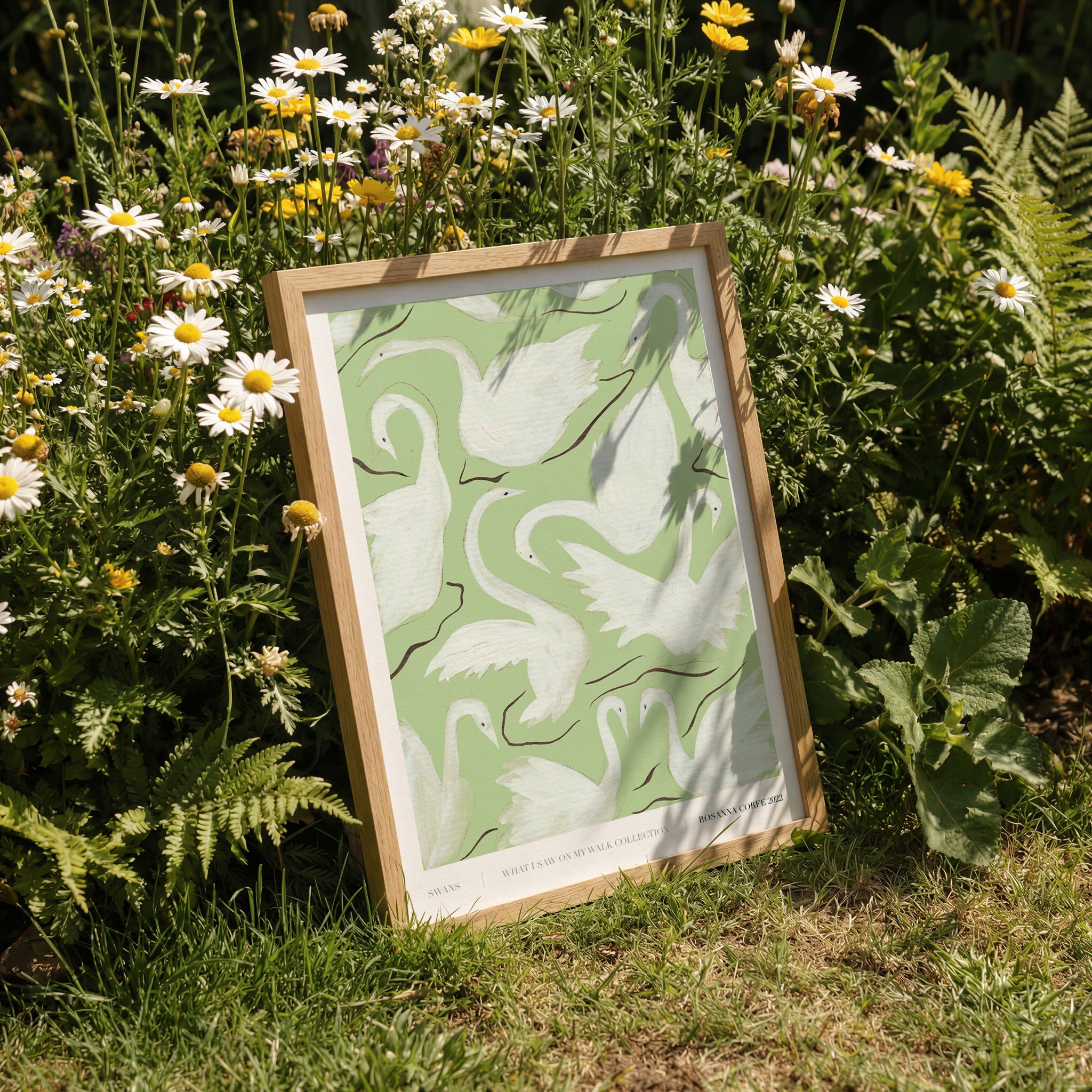 Swans Green Art Print
