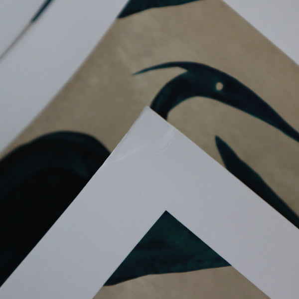 Seconds Sale: A2 Herons Print - Corner Wear