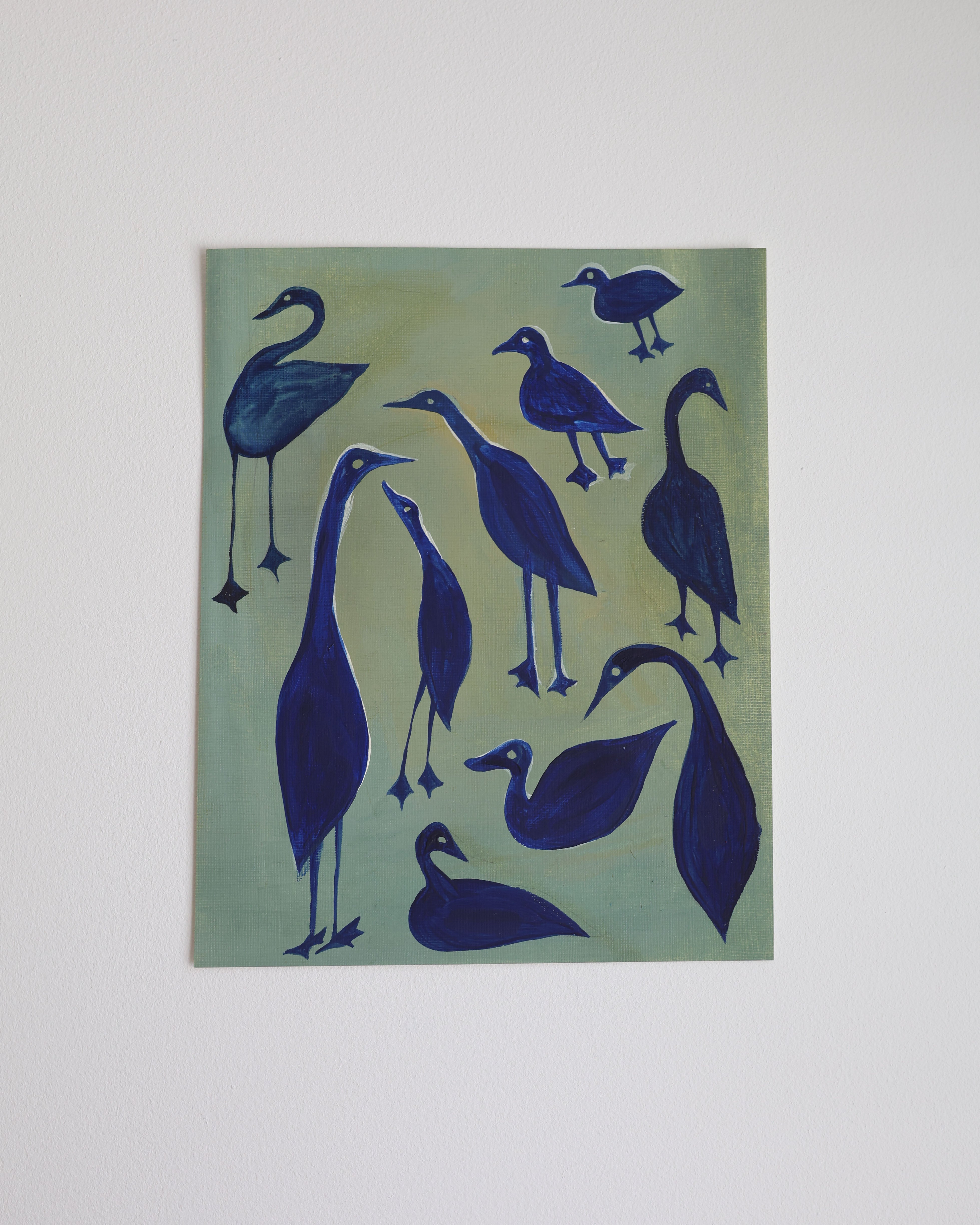 Blue Ducks