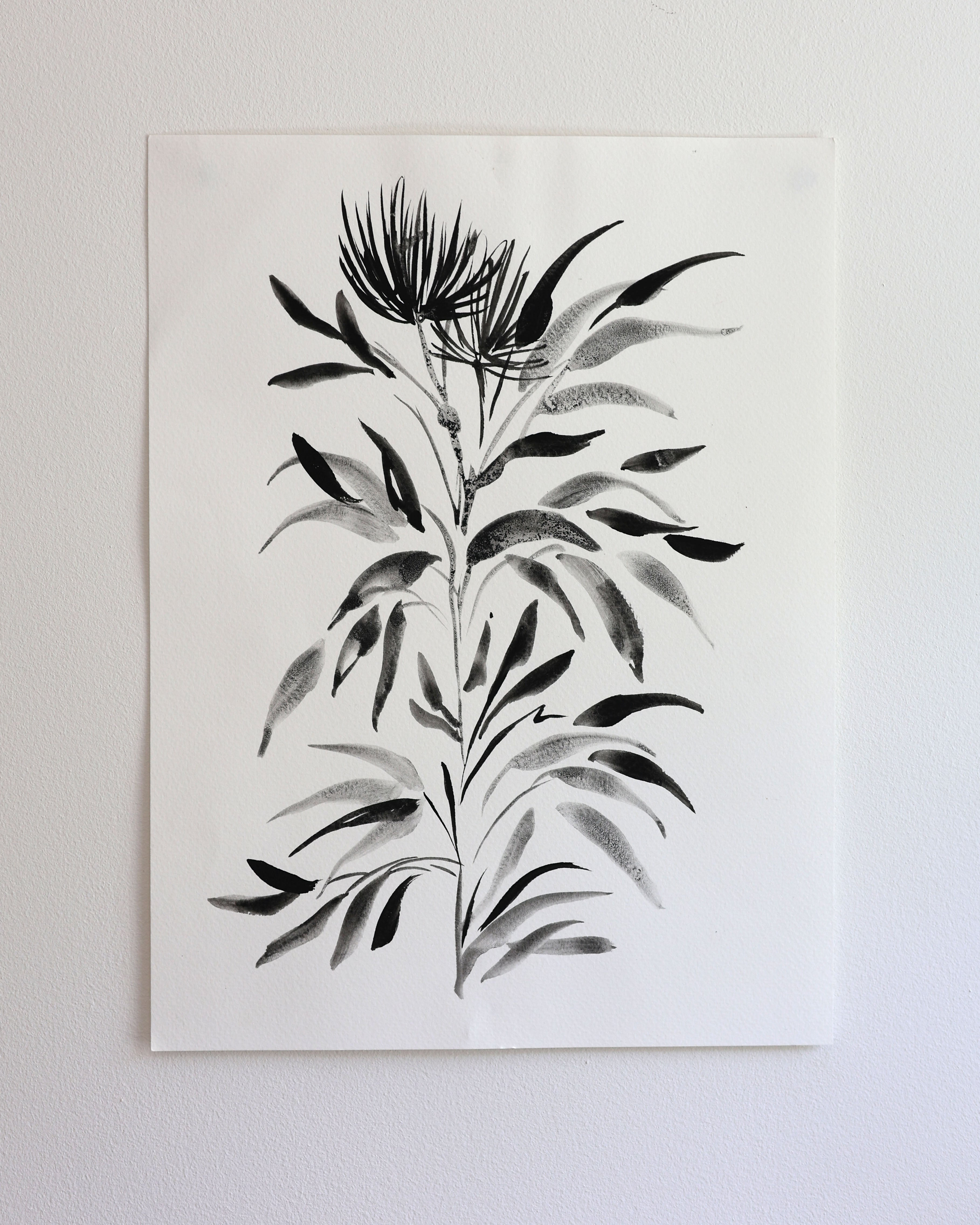 Black Botanical