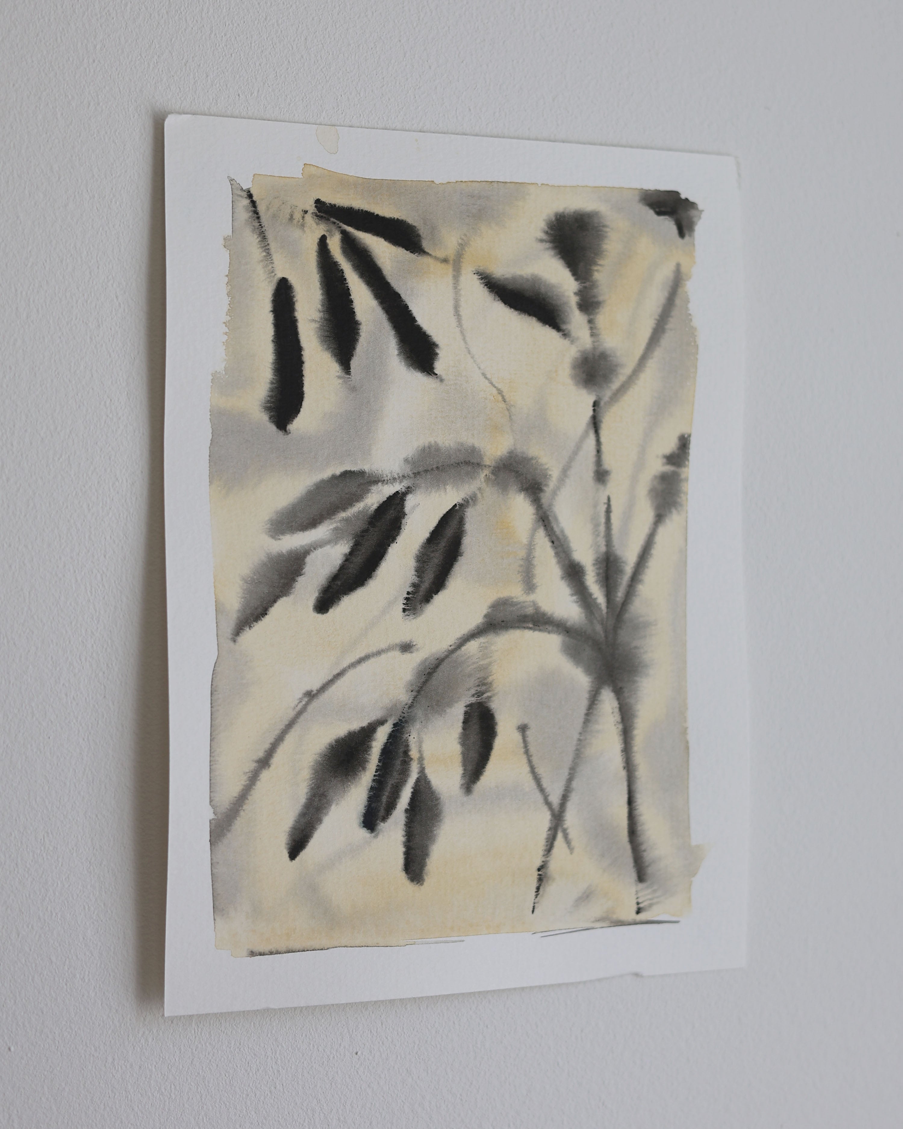 Leaves