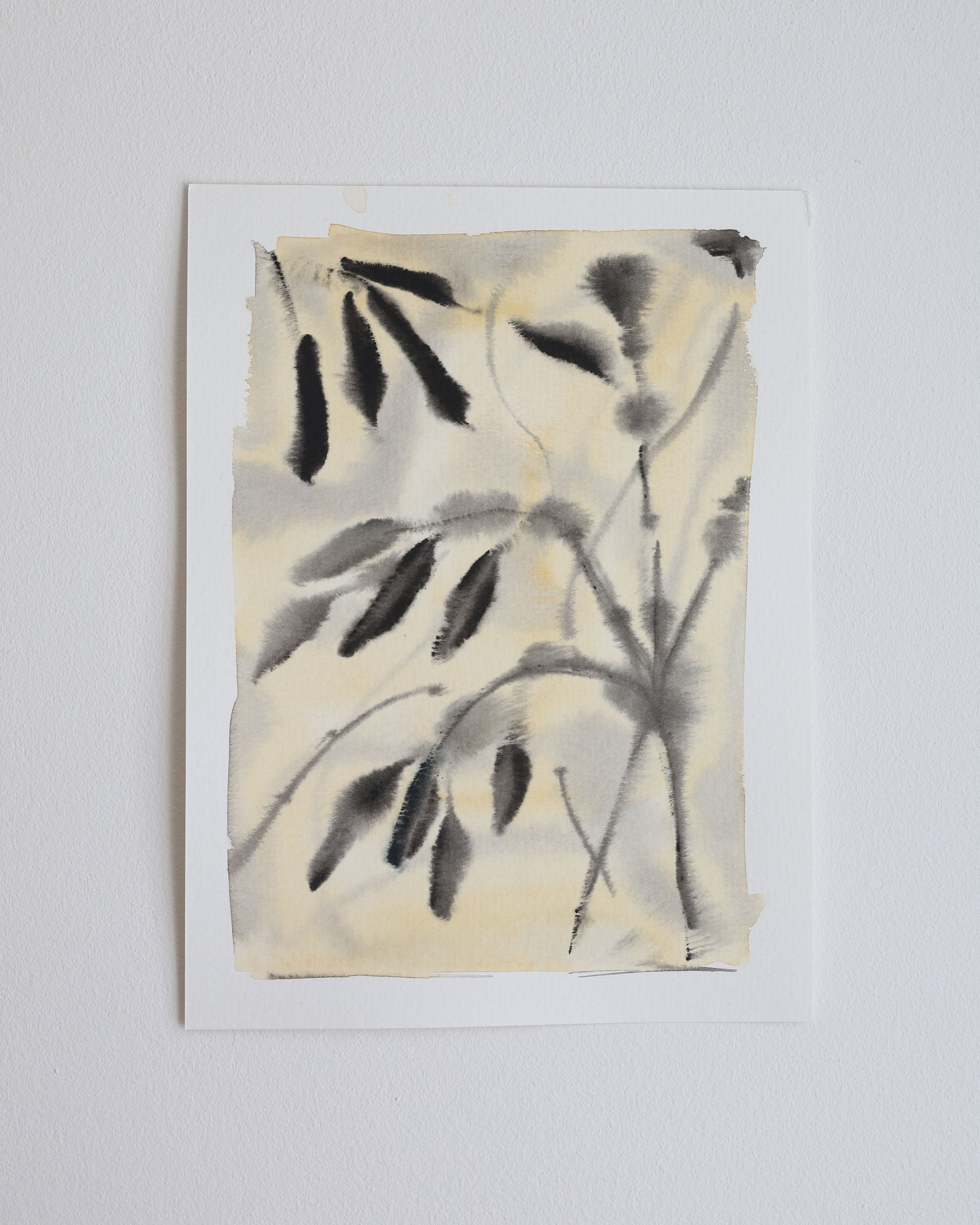 Leaves