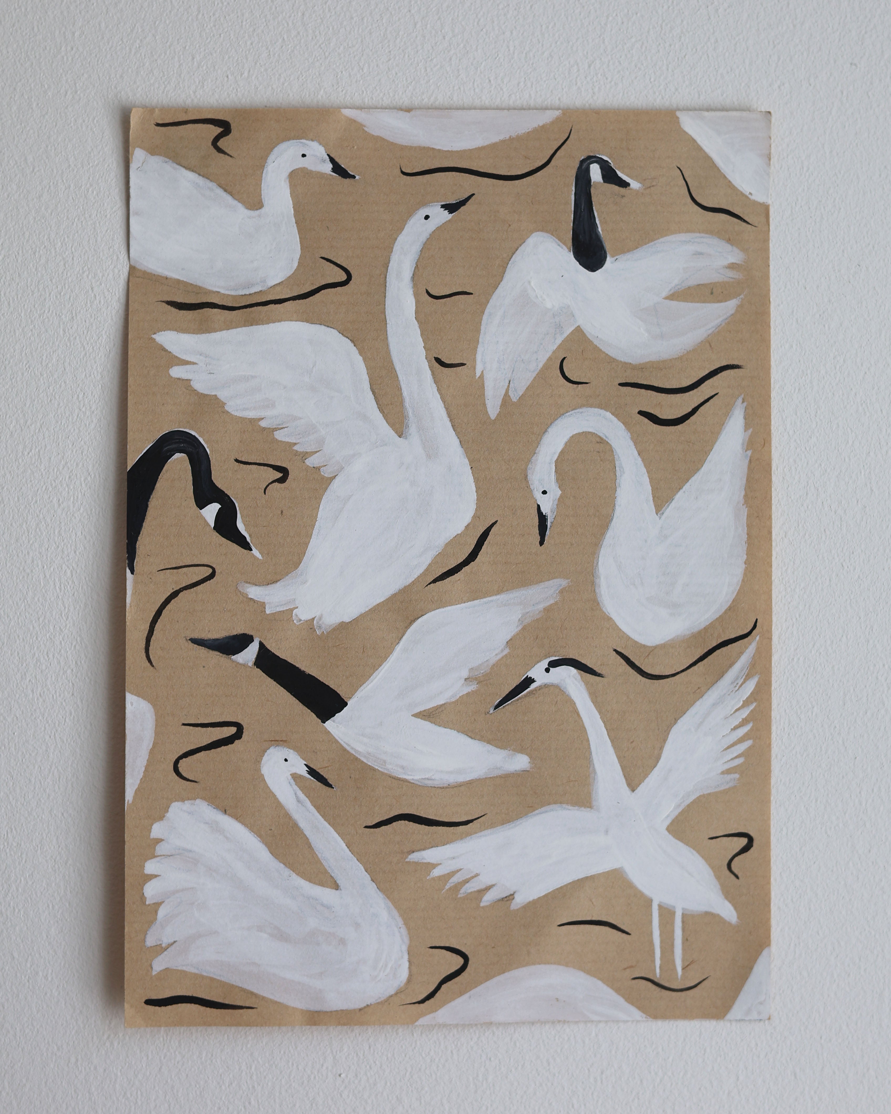 Water Birds
